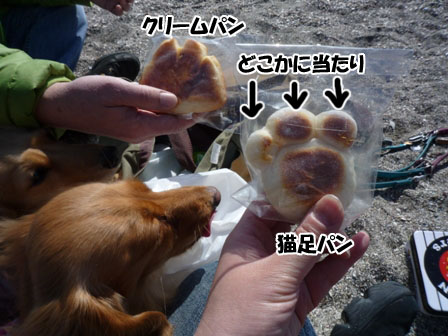 011_20120330004233.jpg