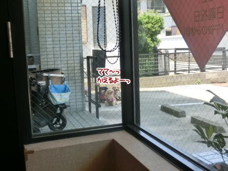 201606204.jpg