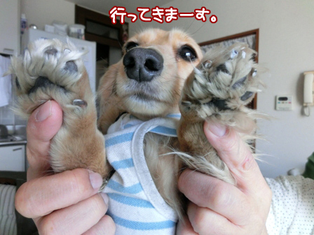 001_201404142257512c2.jpg