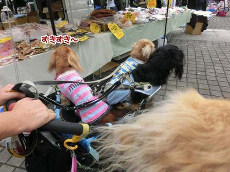 20150927022.jpg