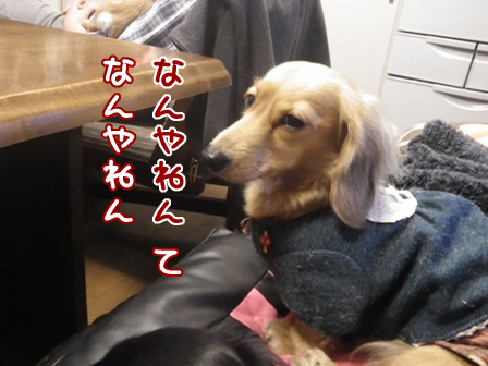 017_20150106233049e56.jpg