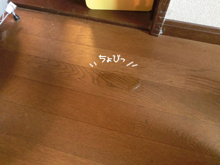 009_20130910234856868.jpg