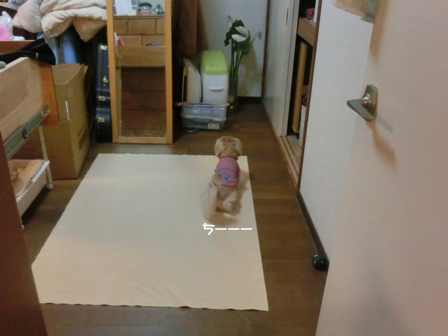 201606181.jpg