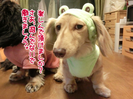 201606103.jpg