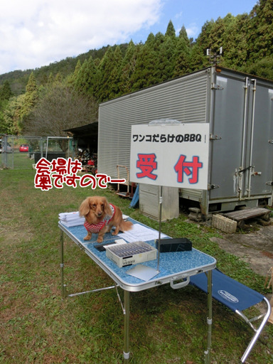 2016110302