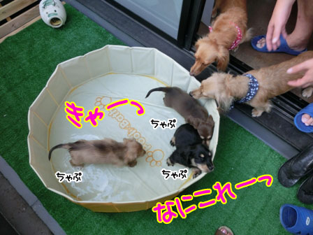 007_20130811010142097.jpg