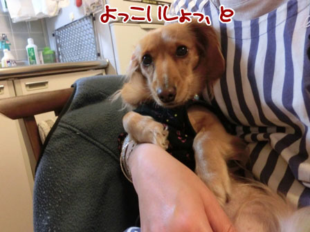 003_20131207000440f1b.jpg