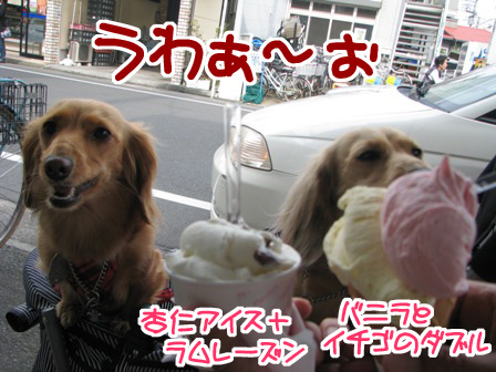 043_20110521234531.jpg