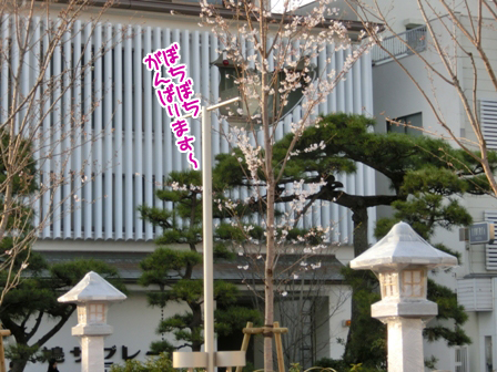 201603244.jpg