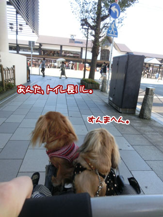001_20131027220658aa9.jpg