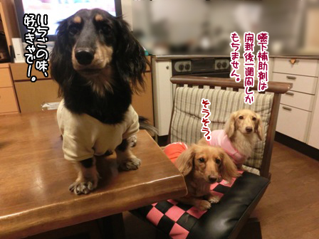 20151015015.jpg