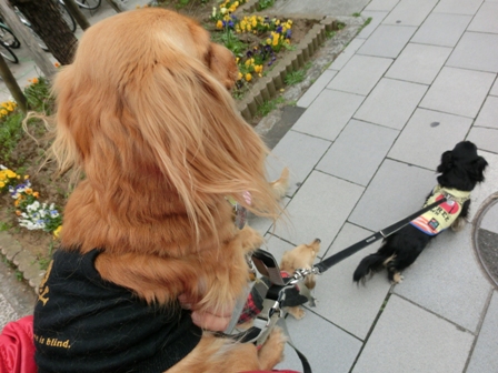 201603263.jpg