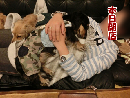 201601111.jpg