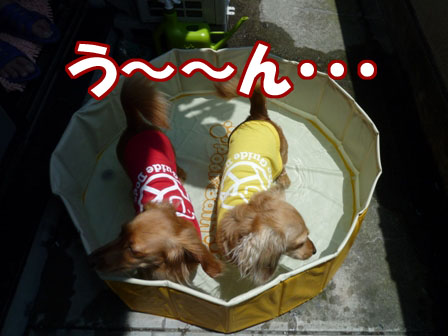 005_20110625223846.jpg
