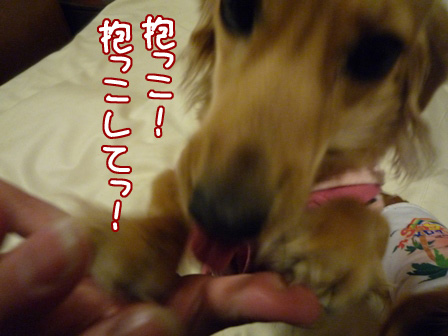 032_20110303220247.jpg