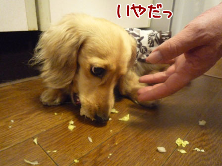 027_20120429234545.jpg