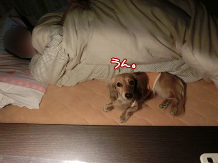 013_20130130234543.jpg