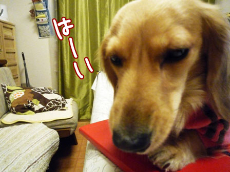 005_20120110230900.jpg