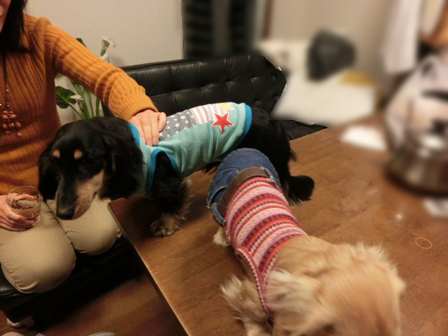 006_201502010105311ff.jpg