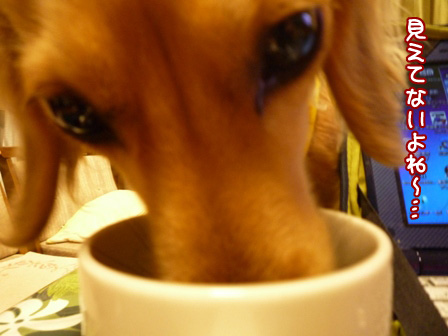 007_20110418220929.jpg