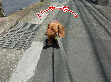 201606041.jpg