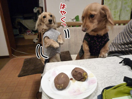 020_20120124214115.jpg