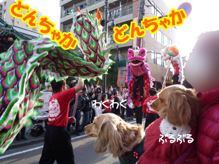 101_20120321232301.jpg