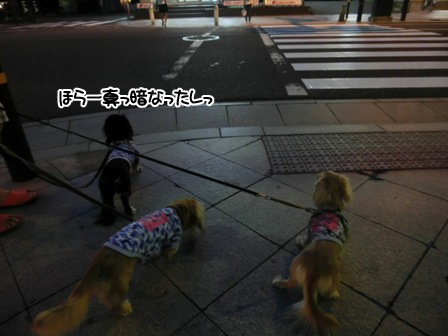 002_201509152242536db.jpg