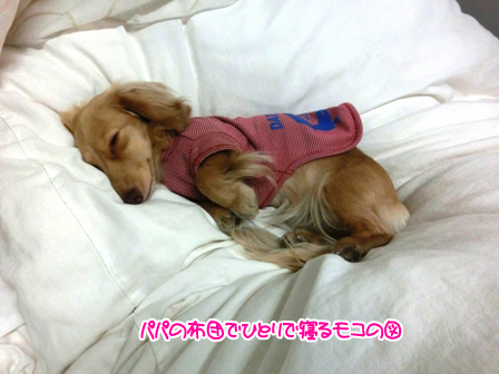 2016032710.jpg