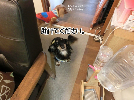 201602201.jpg