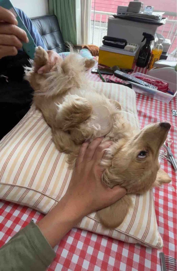 FullSizeRender