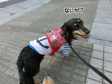 201605273.jpg