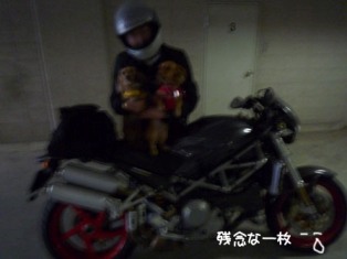 012_20111002003902.jpg
