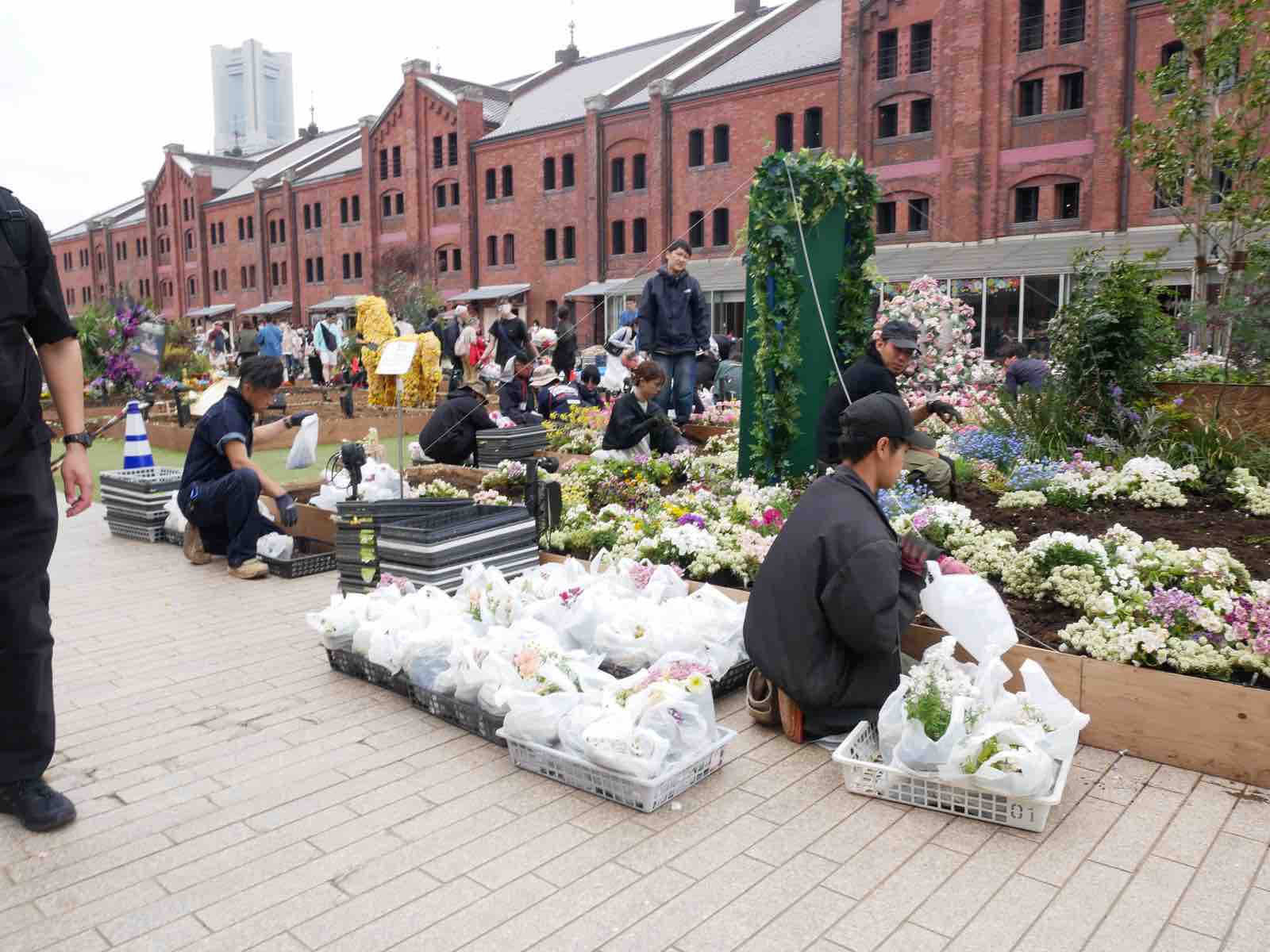 ドッグフェスに行ってみたものの。 : メルロコ一家の横須賀ストーリー Powered by ライブドアブログ