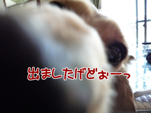 be60678e.jpg