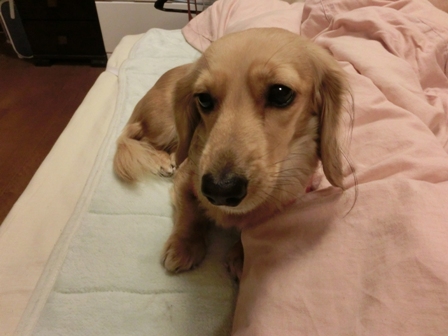 014_20130124225732.jpg