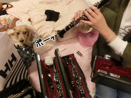 005_20121221234636.jpg