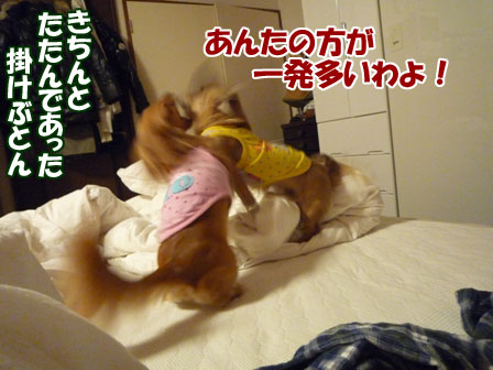 008_20101202221446.jpg