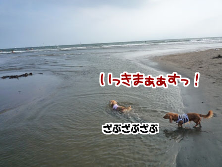 009_20110724225651.jpg