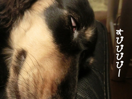 013_20150728231430078.jpg