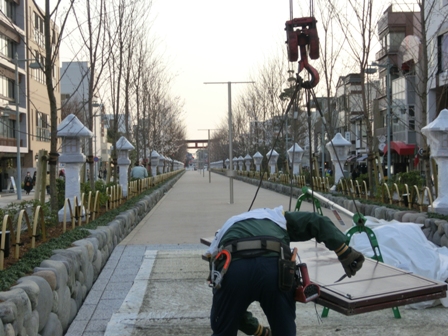 201603245.jpg