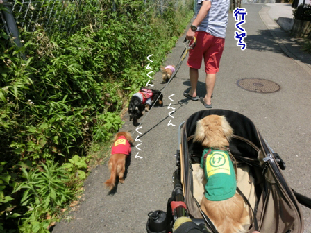 2016052301.jpg