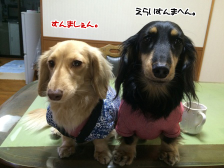 201512317.jpg