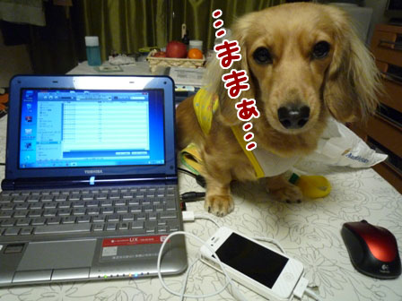 004_20111215024506.jpg