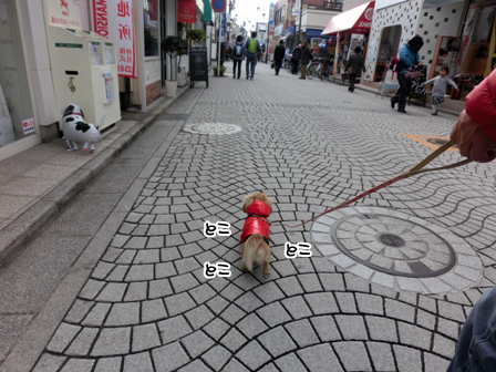 044_2015020800375767d.jpg