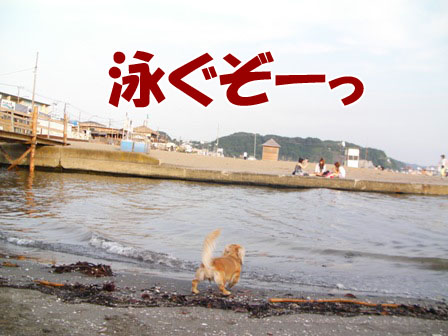 079_20110802003935.jpg