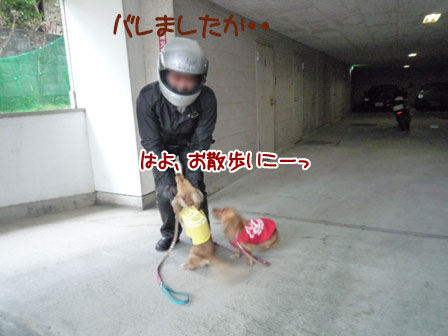 007_20111002002909.jpg