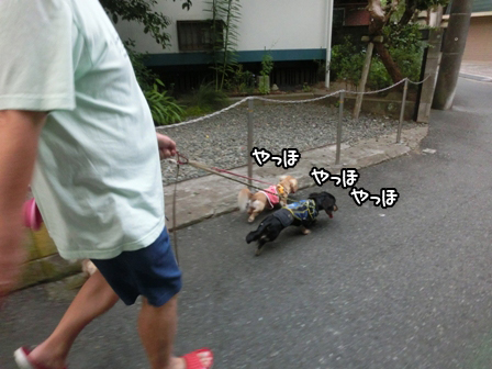 001_2014082621390494e.jpg
