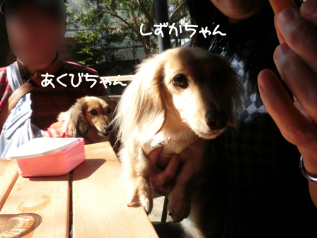 002_20150330003205e32.jpg