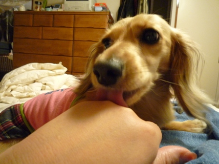 013_20110627214755.jpg